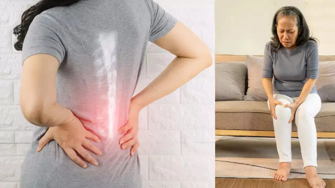 Menopause & Bone Health